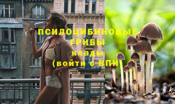 героин Белокуриха